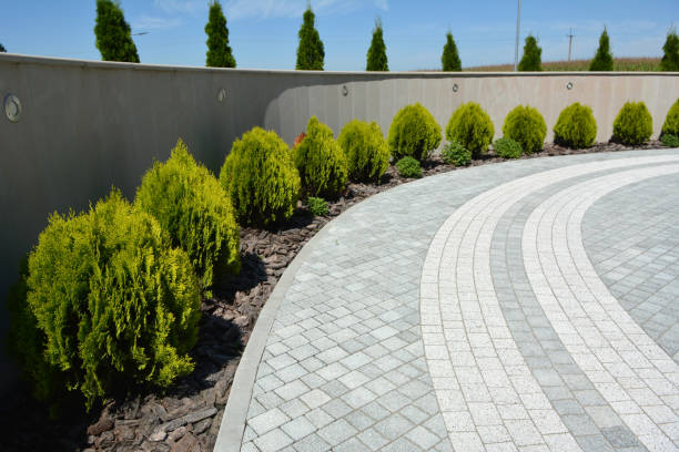 Best Interlocking Driveway Pavers  in Farmersville, TX